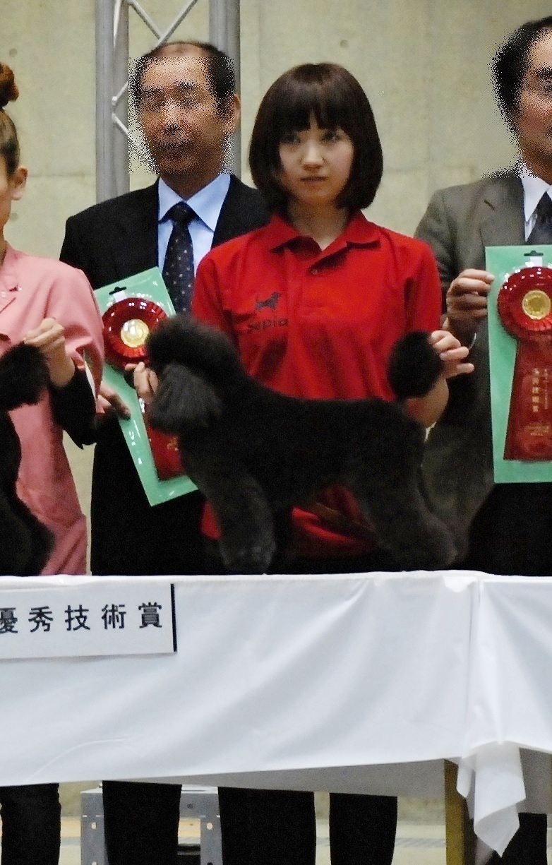 2009 JKCトリミング競技大会 優秀技術賞 上野(旧姓山﨑)恵美