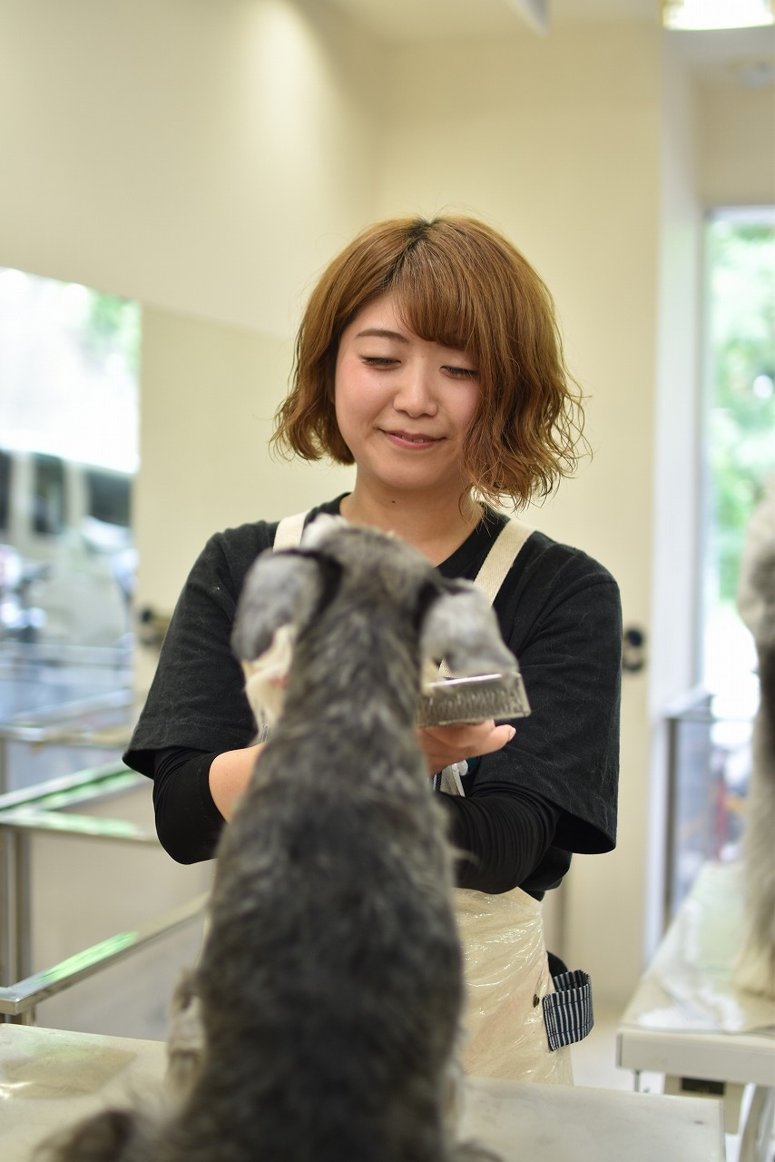 【トリマー】田中梨子